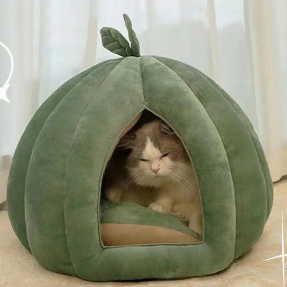 Plushie Cat/Dog Vegetable Bed, for pets up to 15 lbs plush toy – – – Image 1 | Plushie Produce