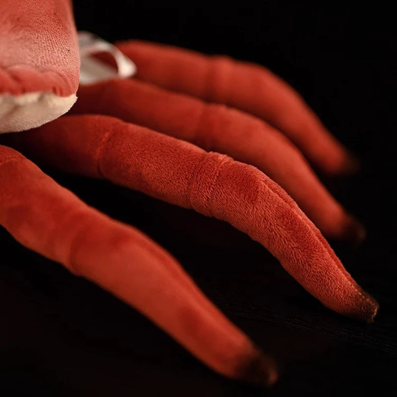 Realistic Red Crab Plushie, 9" | 22 cm plush toy – – – Image 5 | Plushie Produce