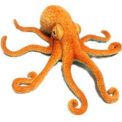 Authentic Common Octopus Plushie, 22-33" | 55-85 cm plush toy – – – Image 1 | Plushie Produce