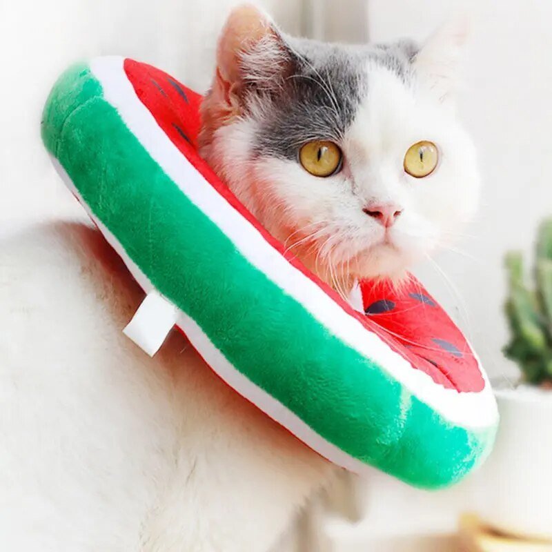 Plush Fruit Pet Recovery Collar, For Pets to 13 lbs. (6 kg) plush toy – – – Image 1 | Plushie Produce