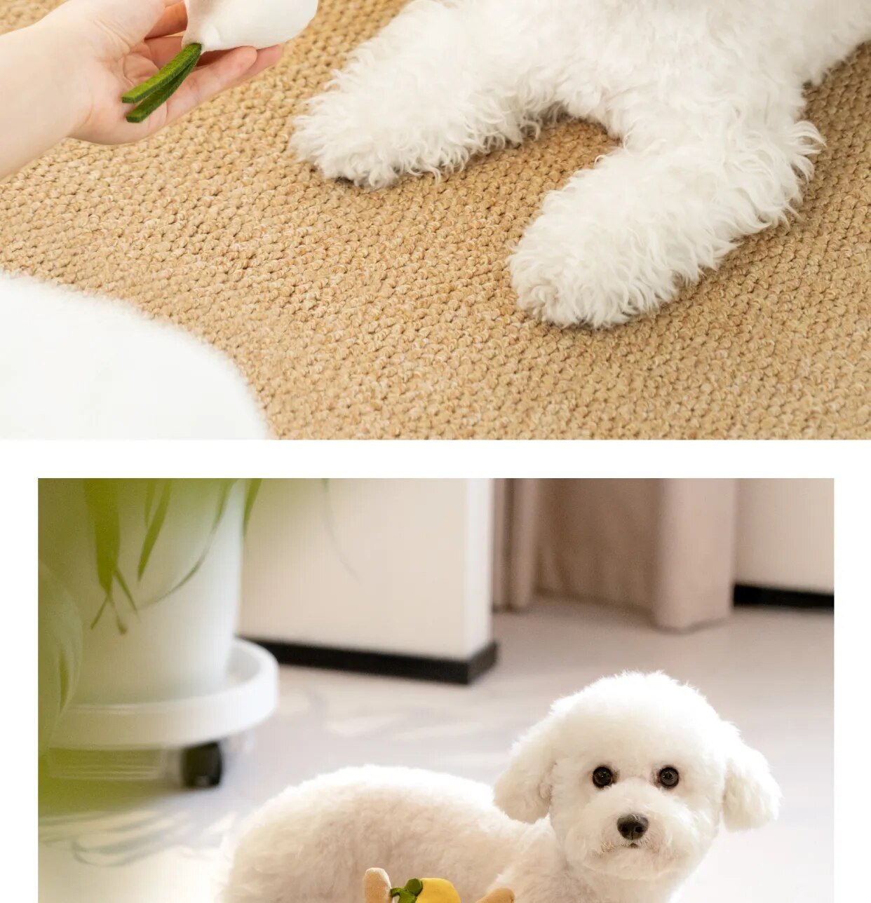 Plushie Food Crate Sniffing/Chew Toy for Pets, 8" | 21 cm plush toy – – – Image 2 | Plushie Produce