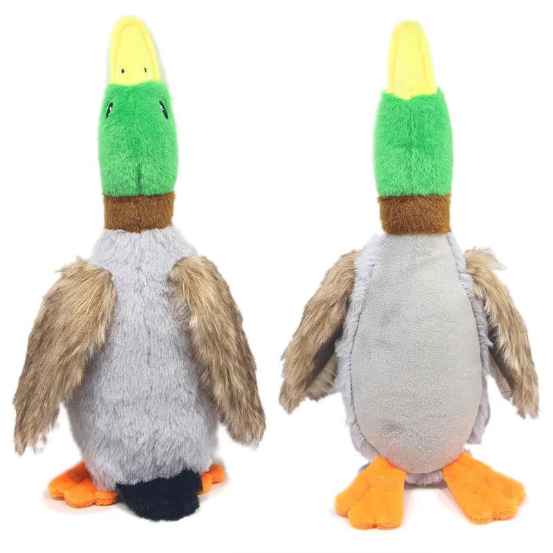 Plushie Mallard Duck Dog Squeaky Chew Toy, 12-14" | 30-34 cm plush toy – – – Image 1 | Plushie Produce