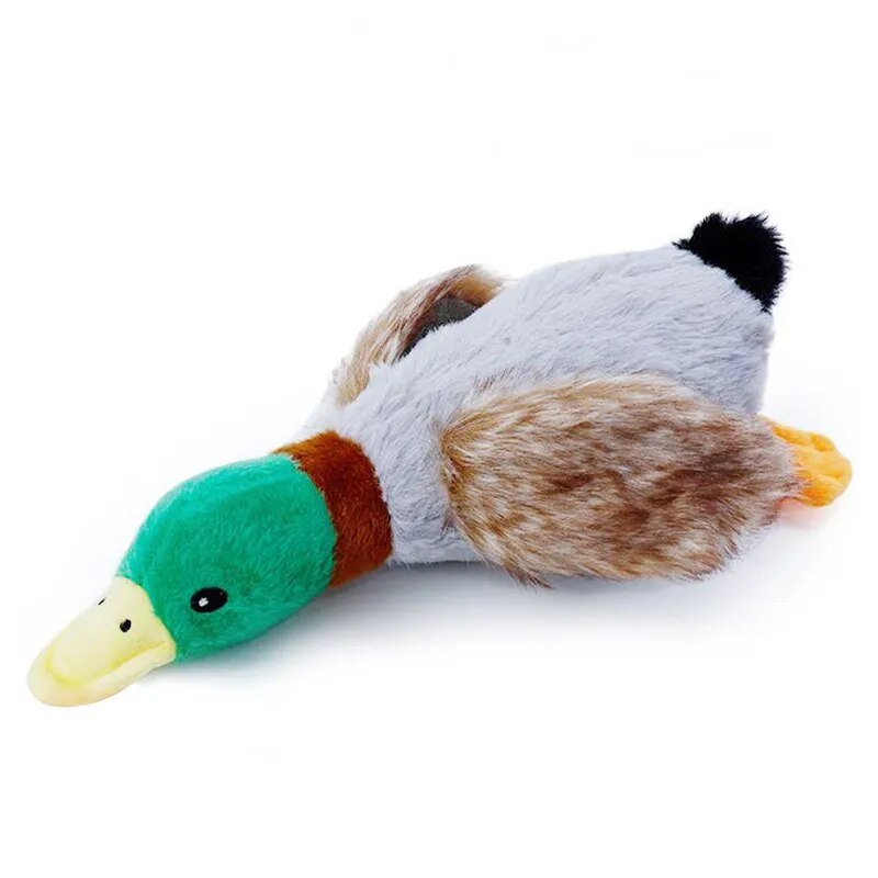 Plushie Mallard Duck Dog Squeaky Chew Toy, 12-14" | 30-34 cm plush toy – – – Image 2 | Plushie Produce