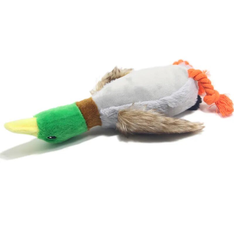 Plushie Mallard Duck Dog Squeaky Chew Toy, 12-14" | 30-34 cm plush toy – – – Image 5 | Plushie Produce