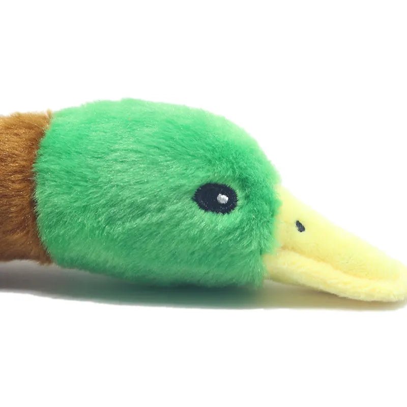 Plushie Mallard Duck Dog Squeaky Chew Toy, 12-14" | 30-34 cm plush toy – – – Image 6 | Plushie Produce