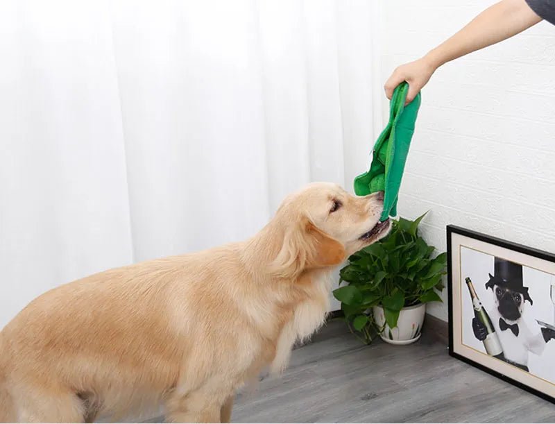 Plushie Peas in a Pod Dog Sniffing Toy, 12" | 31 cm plush toy – – – Image 8 | Plushie Produce