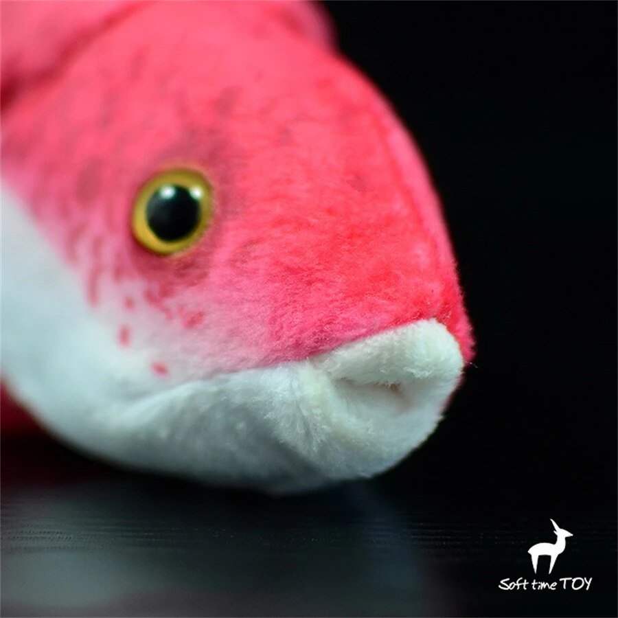 Plushie Realistic Cuban Arowana Fish, 10" | 25 cm plush toy – – – Image 5 | Plushie Produce