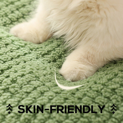 Frosch Haustierbett Kollektion, Drei Designs, Für Haustiere Bis Zu 5 kg | 5 kg