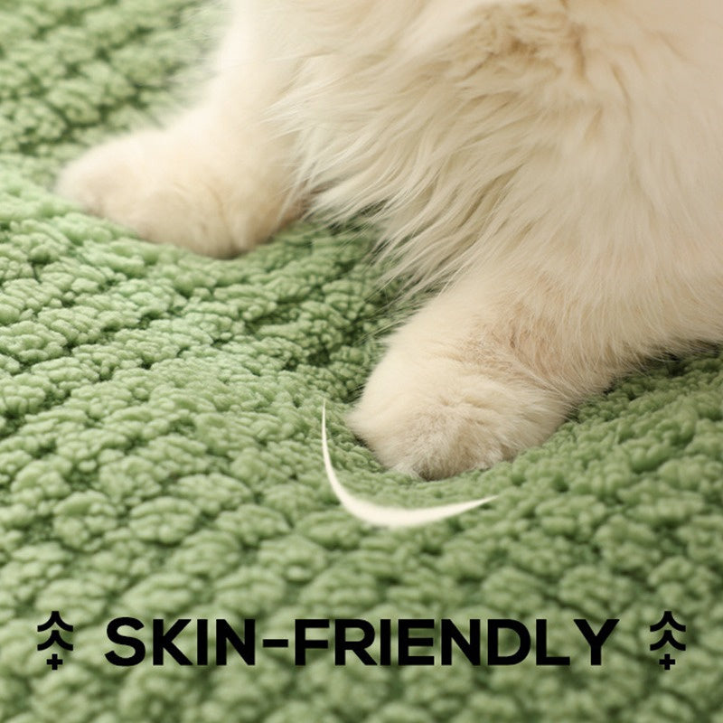 Frosch Haustierbett Kollektion, Drei Designs, Für Haustiere Bis Zu 5 kg | 5 kg