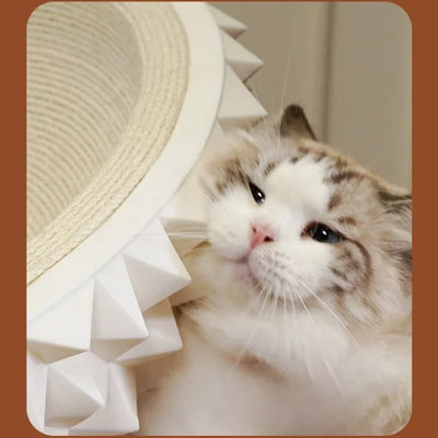 Durian Cat Bed and Scratcher, 3-in-1 Cat Product plush toy – – – Image 5 | Plushie Produce