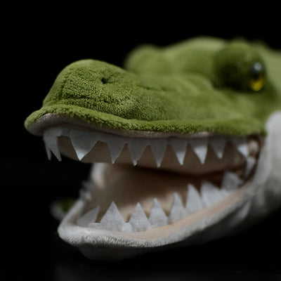 Plushie Realistic Open-Mouth Crocodile, 20" | 50 cm plush toy – – – Image 5 | Plushie Produce
