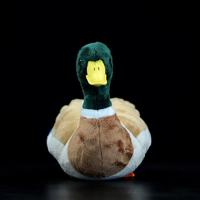 Realistic Mallard & Call Duck Plushie, 12" | 26 cm plush toy – – – Image 3 | Plushie Produce