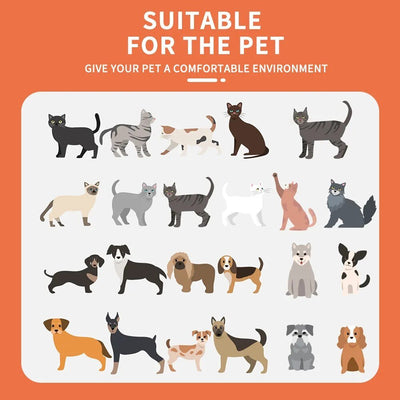 Instant Noodle Pet Bed Plushie for Pets up to 22 lbs (10 kg) plush toy – – – Image 4 | Plushie Produce