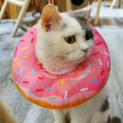 Plushie Donut Recovery Collar, Five Styles, For Pets to 19 lbs. (9 kg) plush toy – – – Image 11 | Plushie Produce