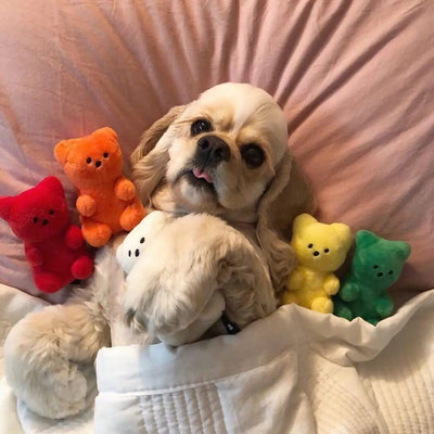 Plushie Gummy Bear Squeaky Chew Toy, 5 Colors, 4" | 11 cm plush toy – – – Image 13 | Plushie Produce