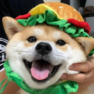 Plushie Hamburger Pet Hat, 3 Sizes, For Pets to 44 lbs (20 kg) plush toy – – – Image 1 | Plushie Produce