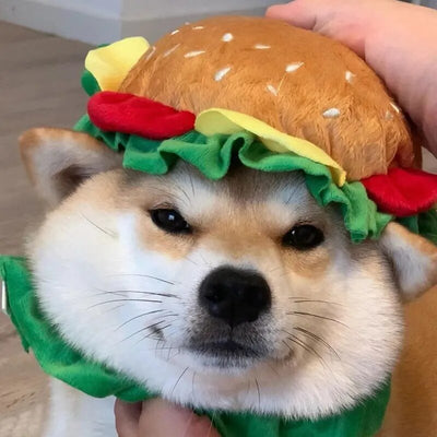 Plushie Hamburger Pet Hat, 3 Sizes, For Pets to 44 lbs (20 kg) plush toy – – – Image 5 | Plushie Produce