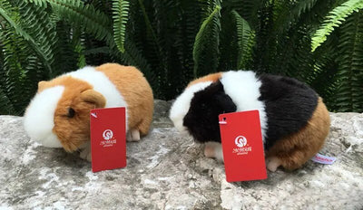 Realistic Guinea Pig Stuffed Animal, 7" | 18 cm plush toy – – – Image 14 | Plushie Produce