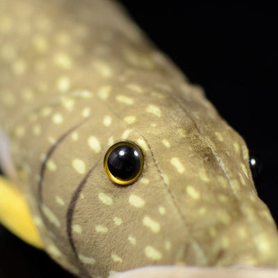 Realistic Pike Fish Plushie, 18" | 45 cm plush toy – – – Image 4 | Plushie Produce